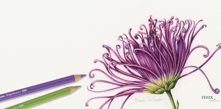 Олівець кольоровий Faber-Castell POLYCHROMOS колір смарагдово-зелений №163 (Emerald Green), 110163 110163 фото